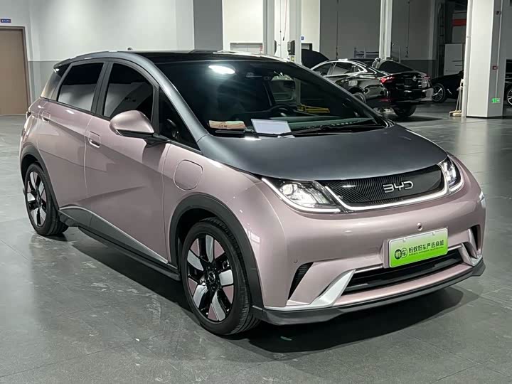 Фото 9 - BYD Dolphin