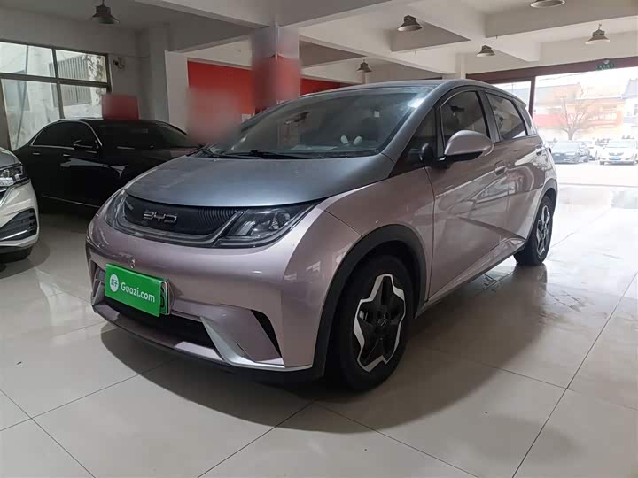 Фото 2 - BYD Dolphin