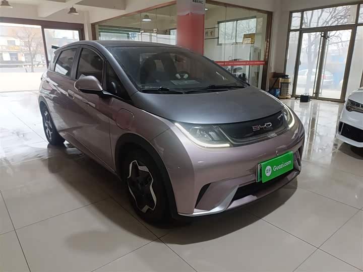 Фото 4 - BYD Dolphin