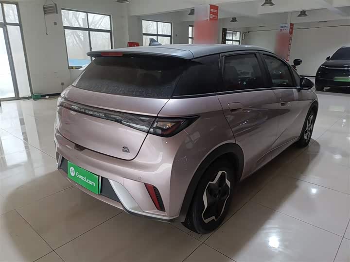 Фото 7 - BYD Dolphin