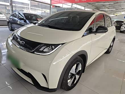 Фото 1 - BYD Dolphin