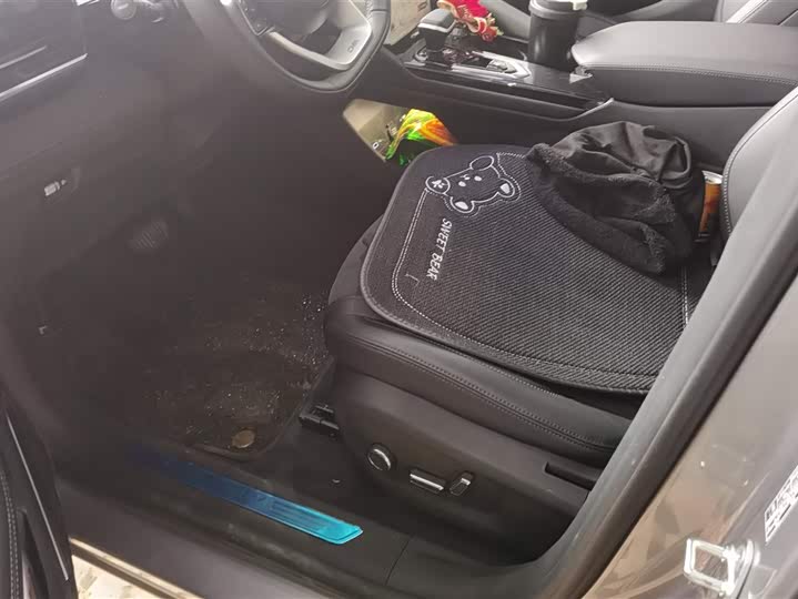 Фото 9 - Geely Monjaro