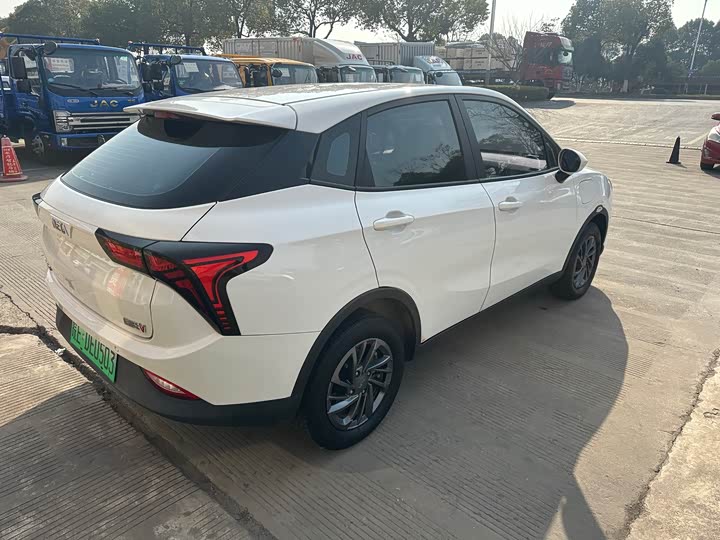 Фото 4 - Hozon V