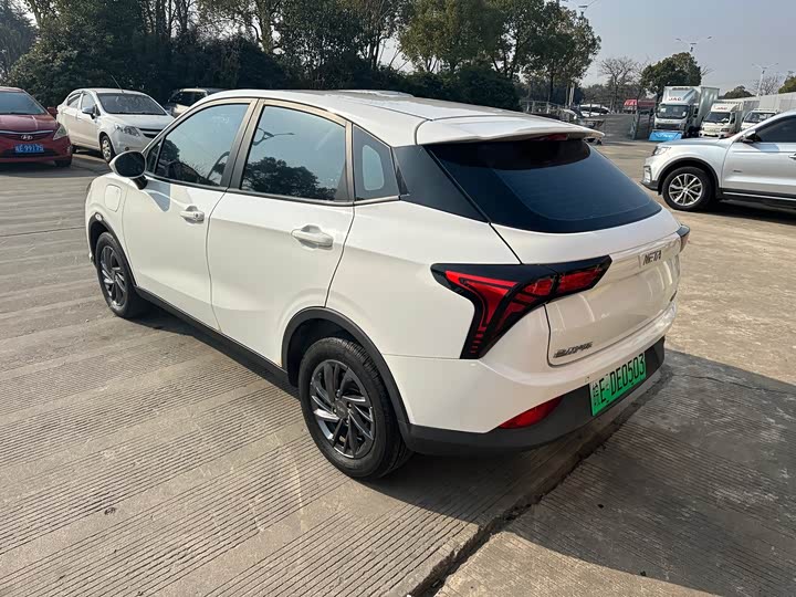 Фото 5 - Hozon V