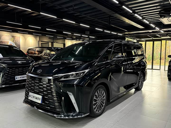 Фото 1 - Lexus LM