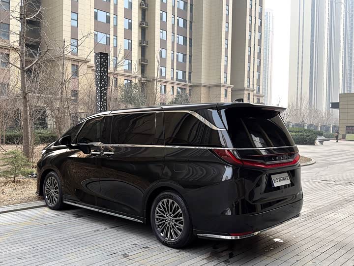 Фото 7 - Lexus LM