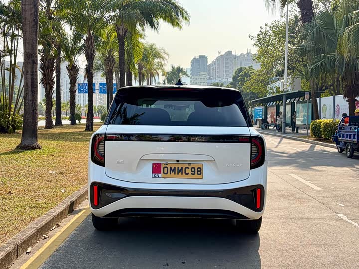 Фото 5 - BAIC Arcfox Kaola