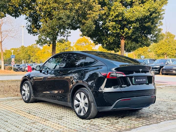 Фото 7 - Tesla Model Y