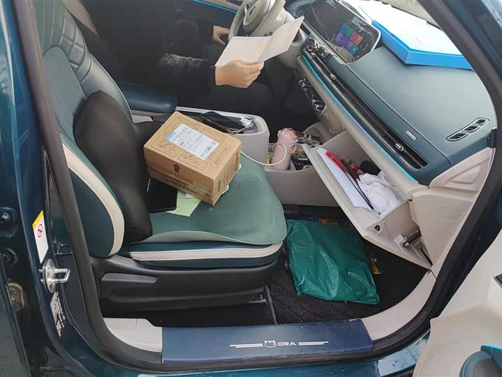 Фото 8 - Ora Good Cat (03)