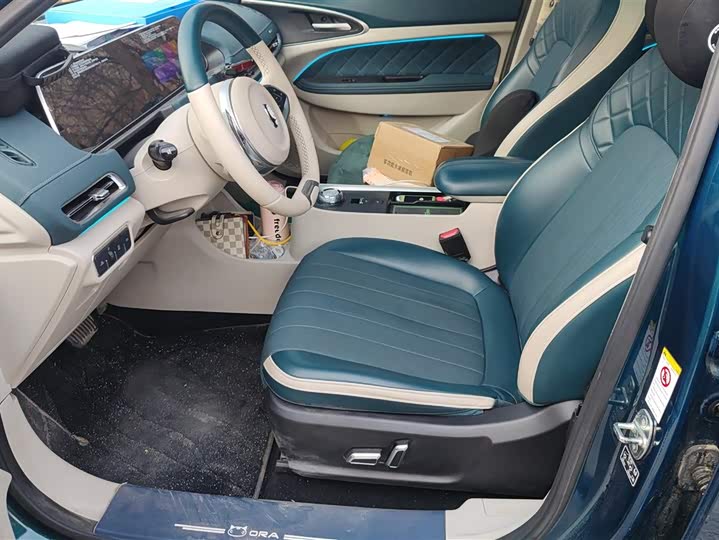 Фото 9 - Ora Good Cat (03)