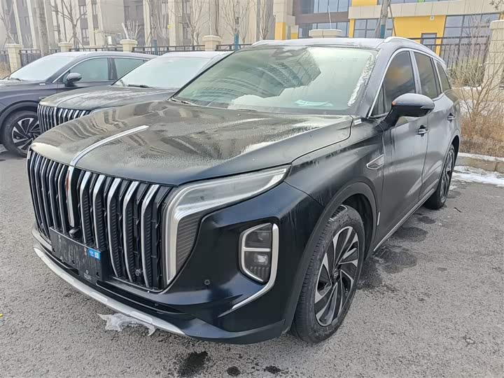 Фото 2 - Hongqi HS7 Hybrid