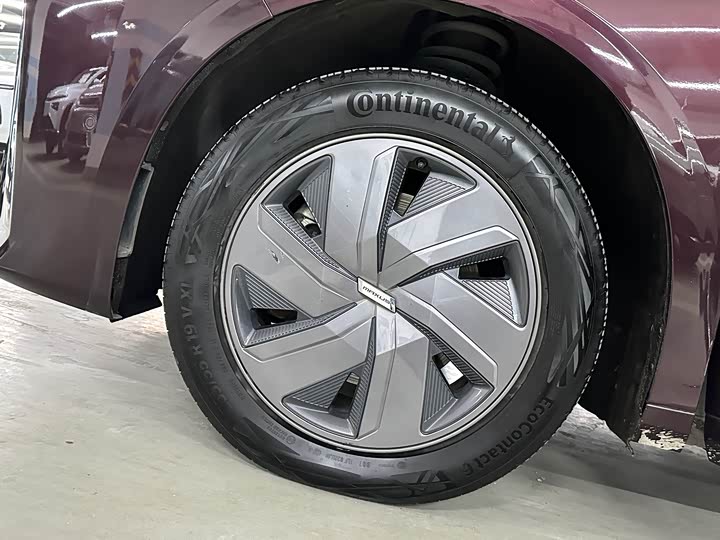 Фото 7 - Maxus Mifa 9