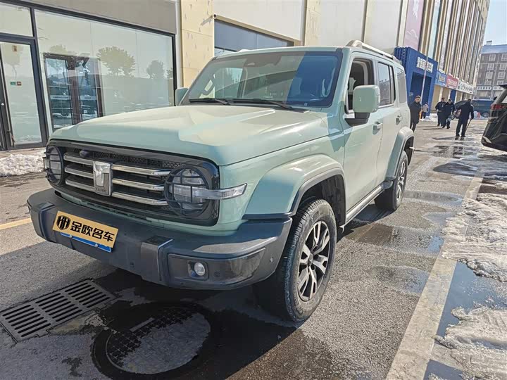 Фото 1 - Tank 300