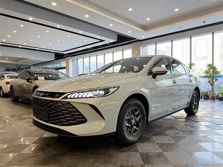 Фото 1 - BYD Qin Plus