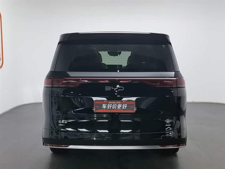 Фото 4 - BYD Xia