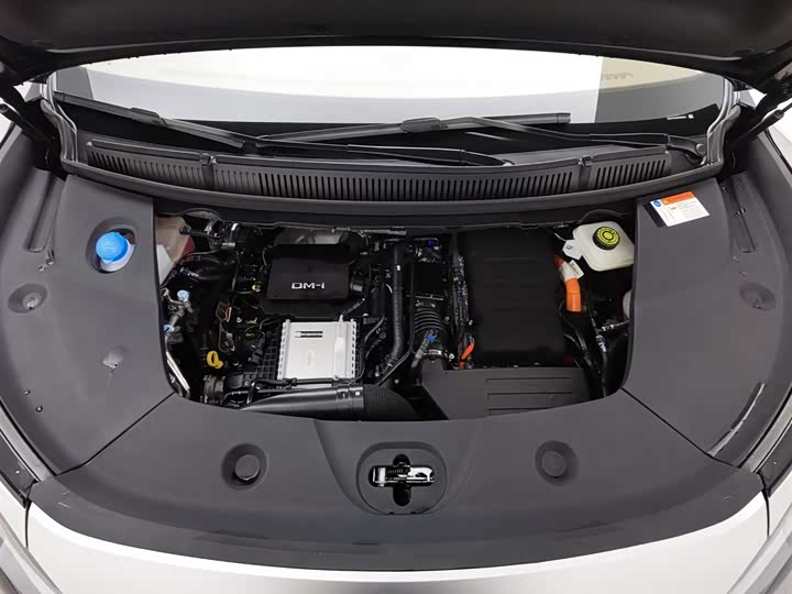 Фото 6 - BYD Xia