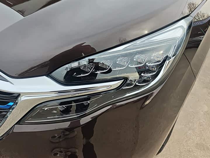 Фото 5 - Buick GL8 ES