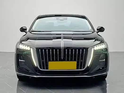 Фото 3 - Hongqi H5