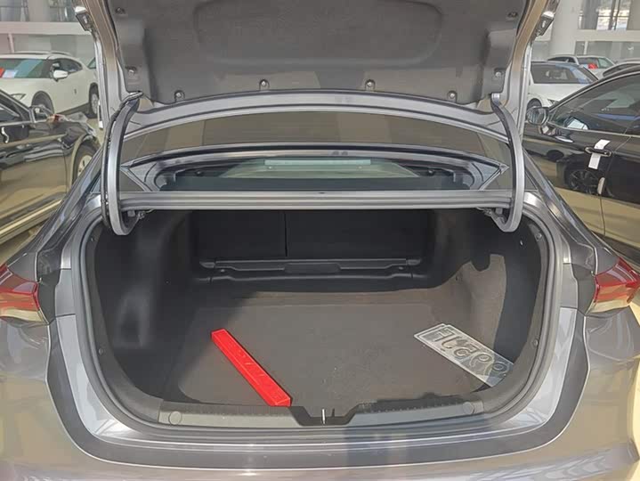 Фото 4 - GAC Trumpchi Empow R