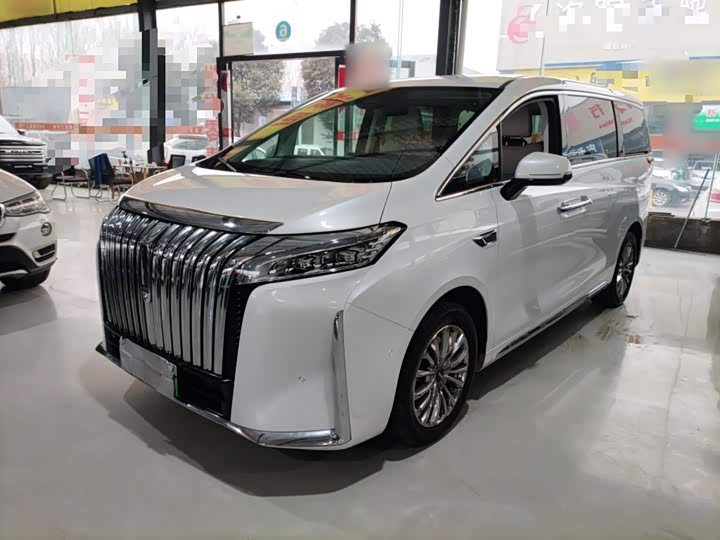 Фото 2 - Wey Gaoshan