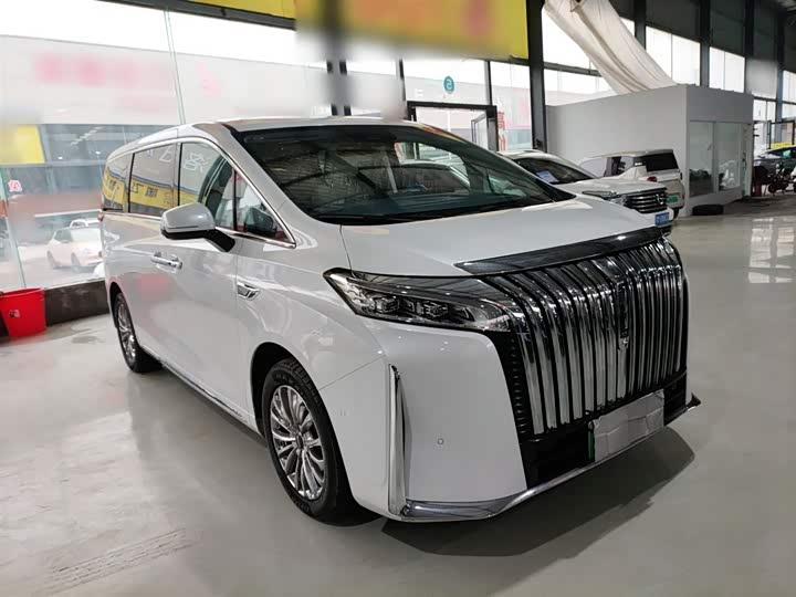 Фото 4 - Wey Gaoshan