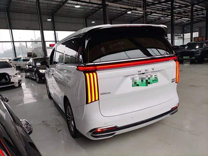 Фото 5 - Wey Gaoshan