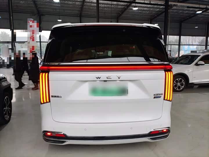 Фото 6 - Wey Gaoshan