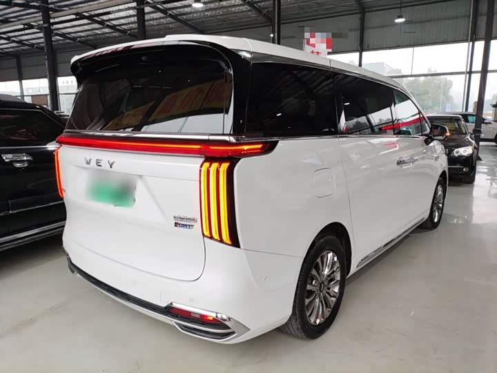 Фото 7 - Wey Gaoshan