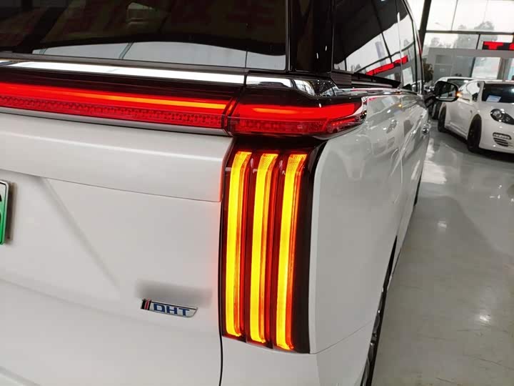 Фото 8 - Wey Gaoshan