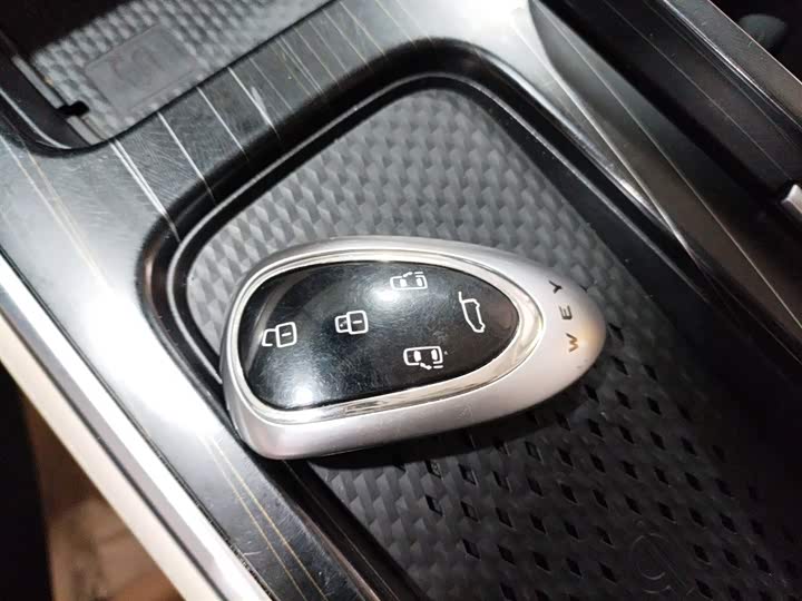 Фото 9 - Wey Gaoshan