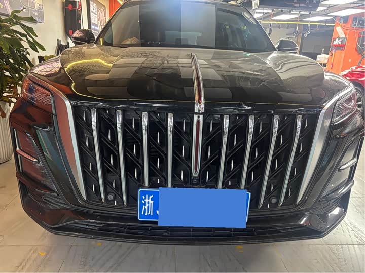 Фото 2 - Hongqi HS5