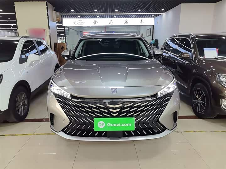 Фото 3 - Roewe RX5