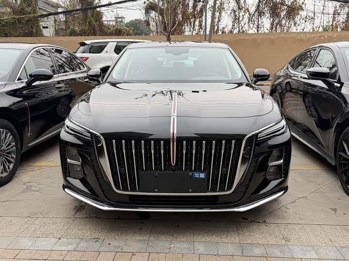 Фото 2 - Hongqi H5