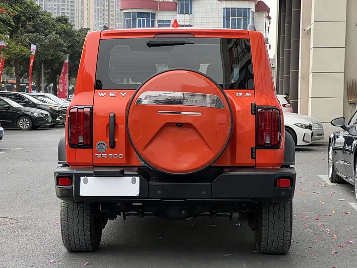 Фото 8 - Tank 300