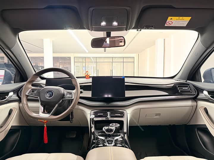 Фото 4 - BYD Qin Plus