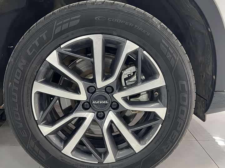 Фото 7 - Haval H6