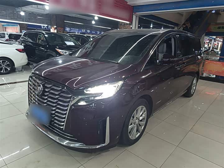 Фото 2 - Buick GL8 ES