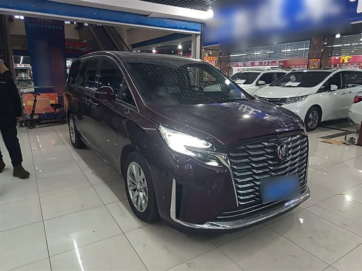 Фото 4 - Buick GL8 ES