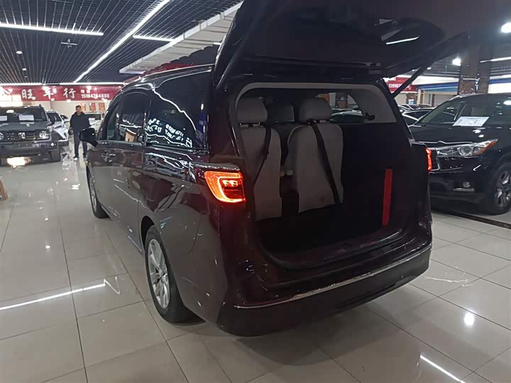 Фото 5 - Buick GL8 ES