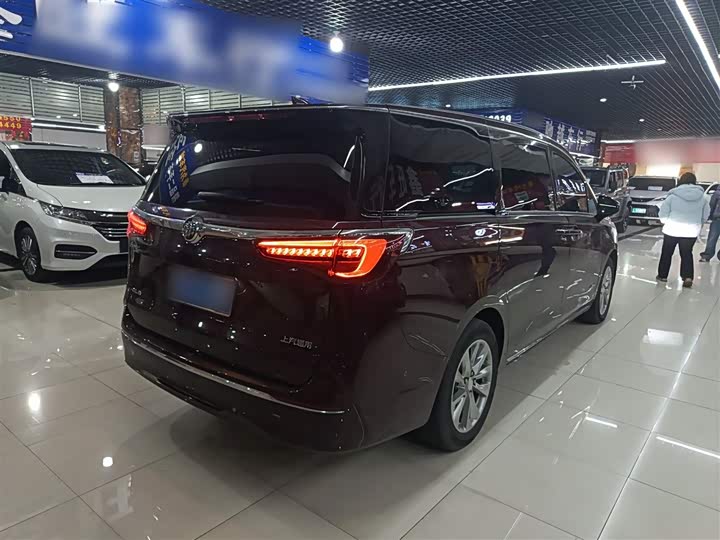 Фото 7 - Buick GL8 ES