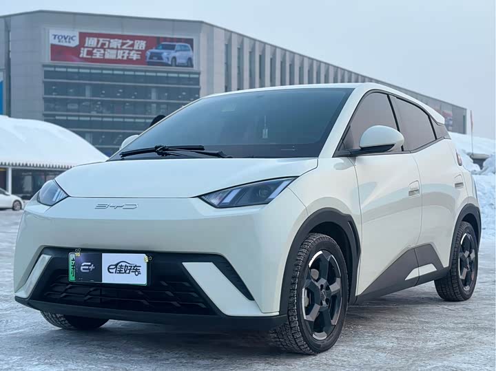 Фото 1 - BYD Seagull