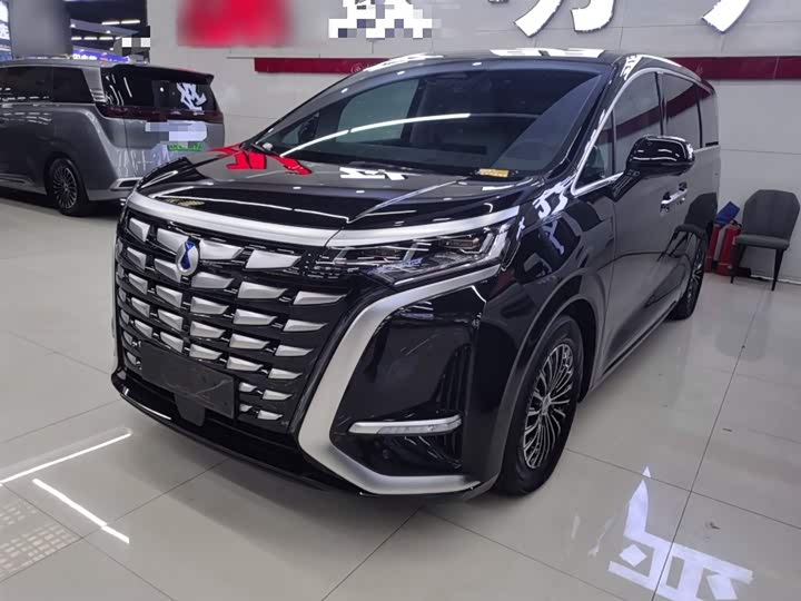 Фото 2 - Denza D9