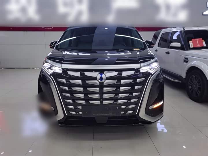 Фото 3 - Denza D9