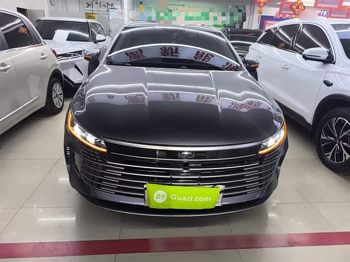 Фото 3 - BYD Destroyer 05