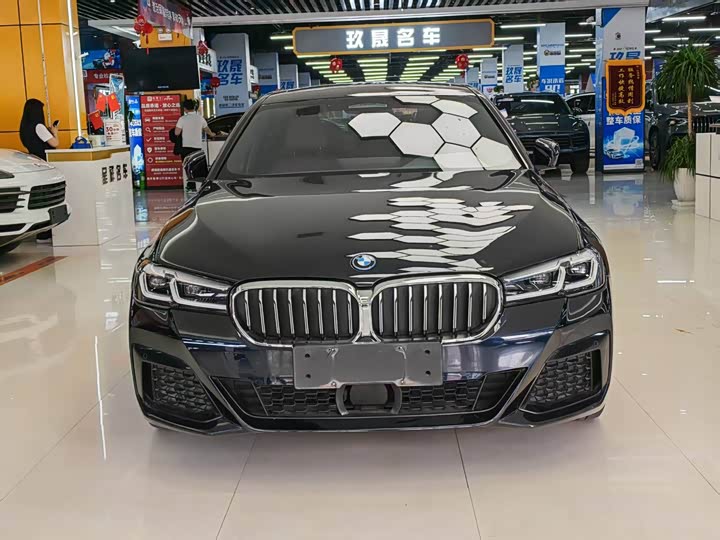 Фото 2 - BMW 5 Series Hybrid