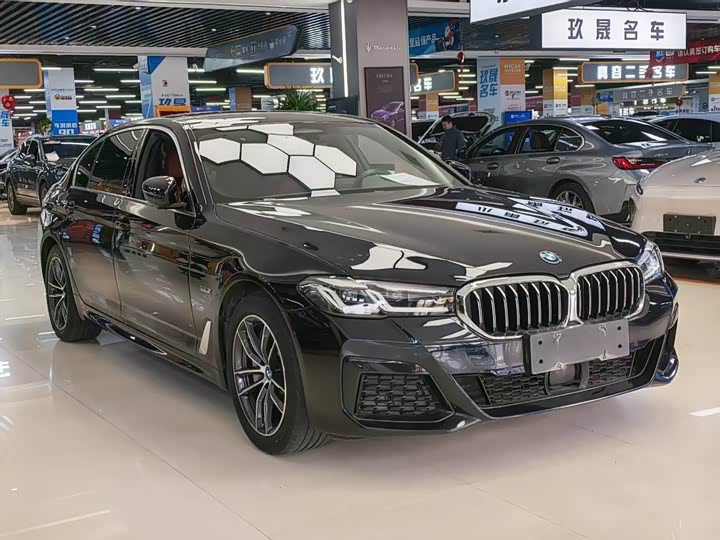 Фото 3 - BMW 5 Series Hybrid