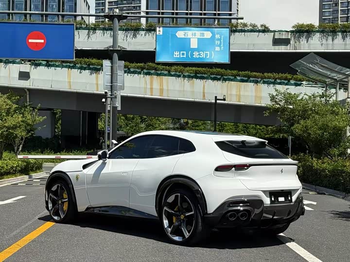 Фото 9 - Ferrari Purosangue