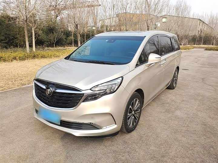 Фото 1 - Buick GL8 ES