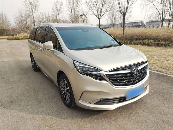 Фото 3 - Buick GL8 ES