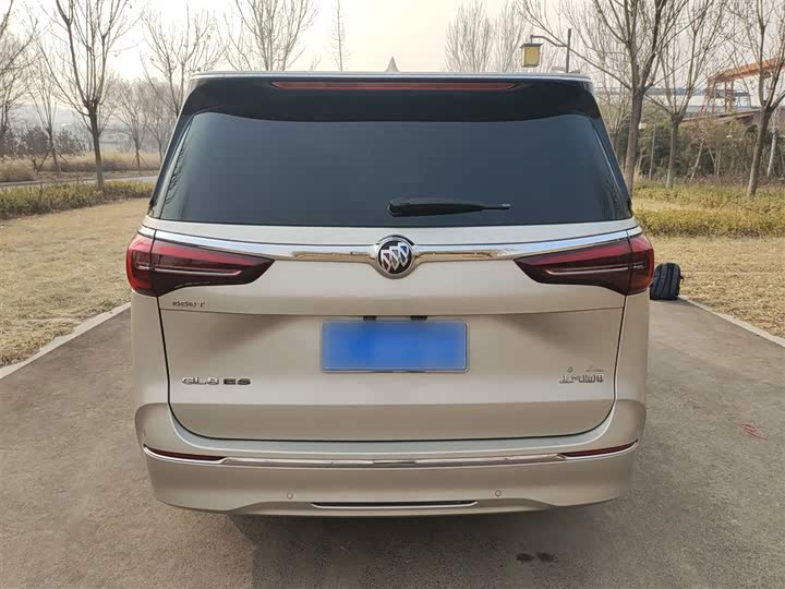 Фото 5 - Buick GL8 ES